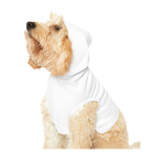 Pet Hoodie