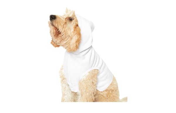 Pet Hoodie